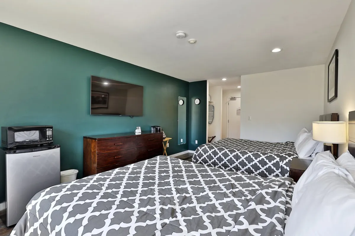 This image showcases the heart of the studio: two comfortable queen beds with plush bedding, a television, a wooden dresser, and visible microwave and mini fridge. The space is bathed in soft natural light, creating an inviting atmosphere that feels both restful and functional.